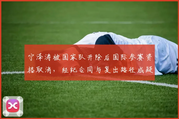 宁泽涛被国家队开除后国际参赛资格取消，经纪合同与复出路径成疑