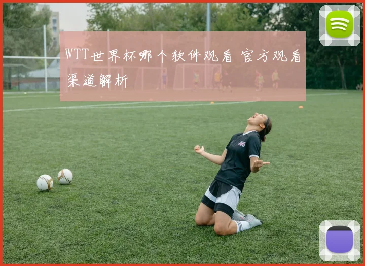 WTT世界杯哪个软件观看 官方观看渠道解析